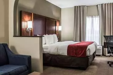 هتل Comfort Suites University  Research Park
