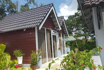 Pensión Hoa Dat Guesthouse