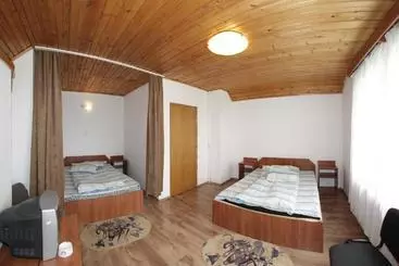 Pensiunea Pui De Urs Sirnea