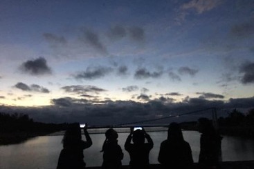 پانسیون Forest