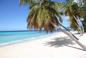 پانسیون Beach Guest House Cleverdale