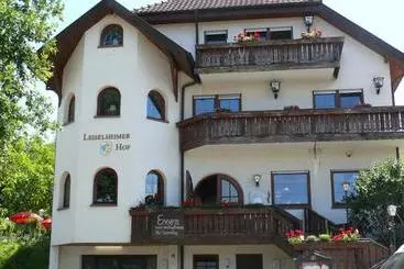 ホテル Leiselheimer Hof
