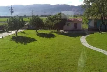 Elizabeth Bed And Breakfast