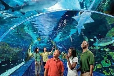 Turistihuoneistot Blue Mountain Mist