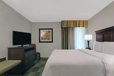 ホテル Hampton Inn & Suites Pigeon Forge On The Parkway