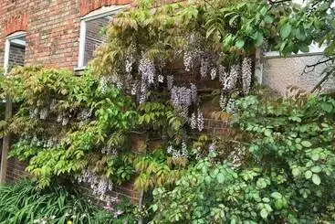 آپارتمان‌های توریست‌ها The Old Bookbinders Retreat