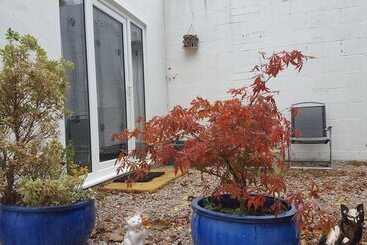 Turistlägenheter Immaculate 1 Bed Lodge Newton Abbot Torquay