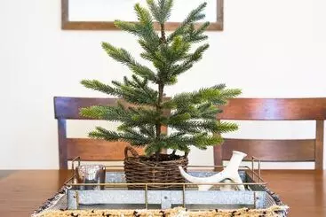 Mökkimajoitus The Atrium Haven Winter Park Cabin Hot Tub