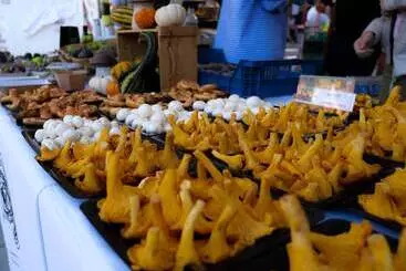 Turistihuoneistot Luxury Apartment Stancesvic