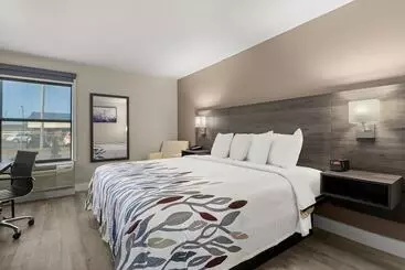 酒店 Red Roof Inn Washington, Nc