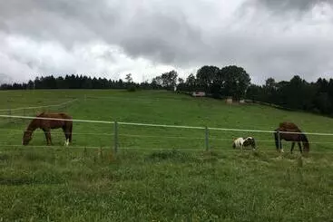 Hotelli Aschberg Chalet