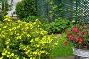 شقق خاصة سياحية Haus Frieda