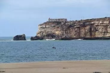 ツーリストアパートメント Casa Do Mar  Sea House