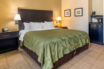 ホテル Quality Inn & Suites Lenexa Kansas City