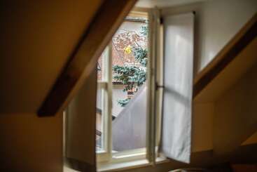 Bed and Breakfast Paon Boutique Apartments