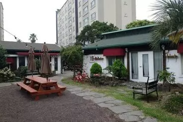 Guesthouse Party Free Pub Hostel