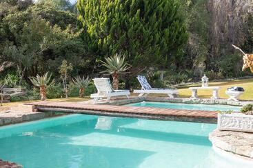 مبيت وإفطار Swallows Nest