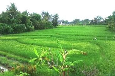 Bed and Breakfast Sunari Guesthouse