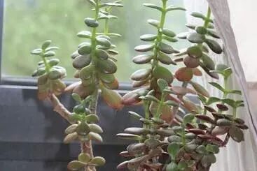 ベッドアンドブレックファースト Le Mas Normand