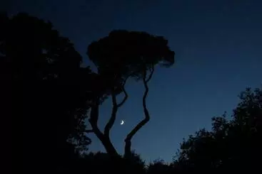 Gîte Rural Maison D Hôtes Sainte Marie