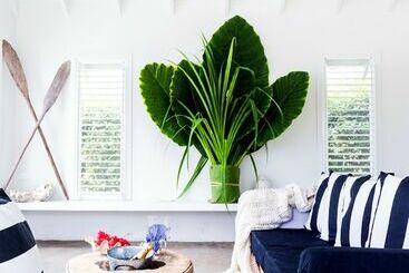 호텔 The Moso Vanuatu