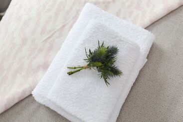 관광객 아파트 Dollar Apartments At 39