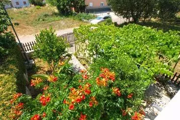 Apartamentos turísticos Apartments Zlatko 1397
