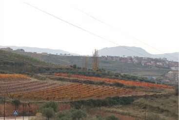 پانسیون Villaterreno