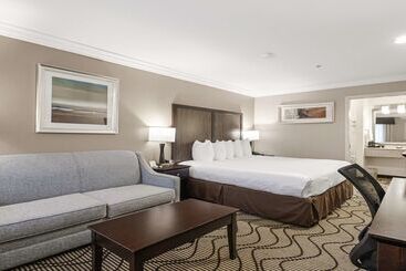 Best Western Plus Orchid Hotel & Suites