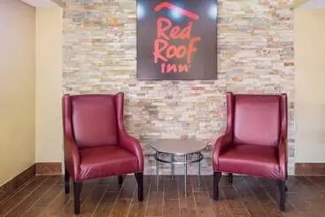 酒店 Red Roof Inn Jacksonville Orange Park