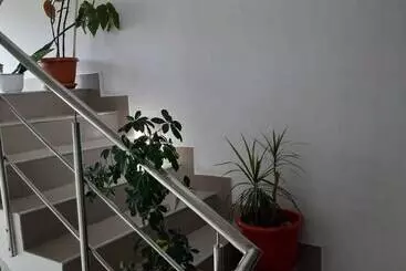 Tourist flats Pensiunea Cristian Alexandru