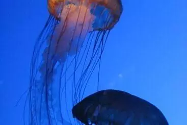 Отель The Bostonian Boston