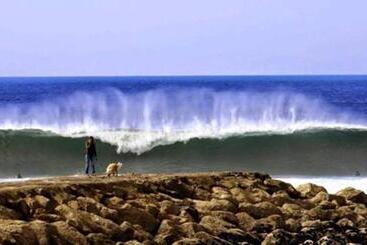 هاستل Caparica Surf Villa