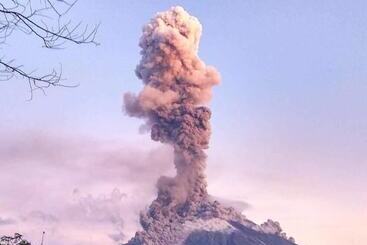 Dream Big Eco Hostel