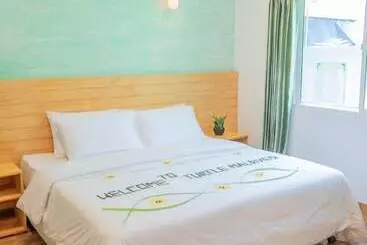 Pensione Turtle Maldives   Your Gateway To The Beach & Marine Adventures Await!