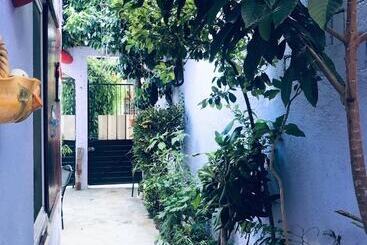 Kaya Hostal Apartments   Hostel