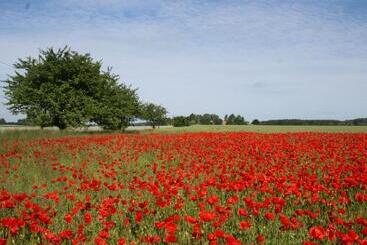 Жильё для туристов Schönes Appartement Am Meer In Rerik