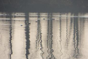 Сельский дом Agriturismo Le Risaie