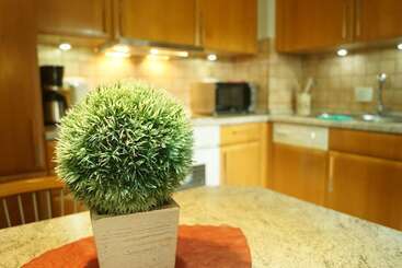 Apartamentos turísticos Haus Monterosa