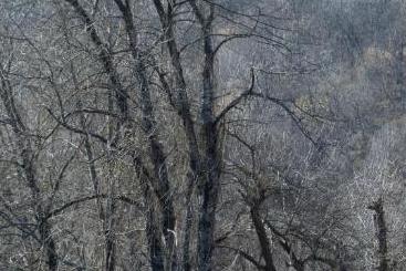 پانسیون Zvjezdana Dolina Garni