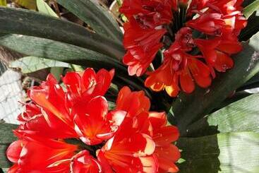 游客公寓 New Panorama Studios Electric Car φορτισησ στατιον