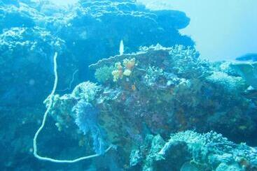 Hotel Kawans Inn Lembongan