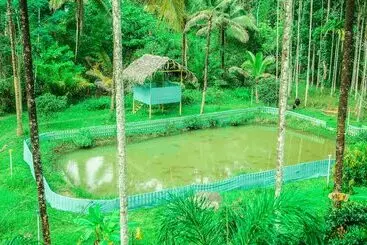 Cavern Resort Wayanad