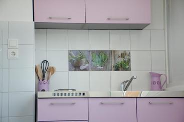 游客公寓 Apartments Mike