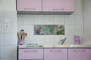 ツーリストアパートメント Apartments Mike