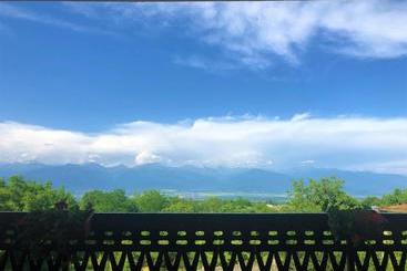 شقة فندقية Tsinandali Inn