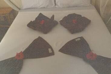 Bed & Breakfast Kendwa Garden's