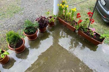 ホテル Guest House In Gonio