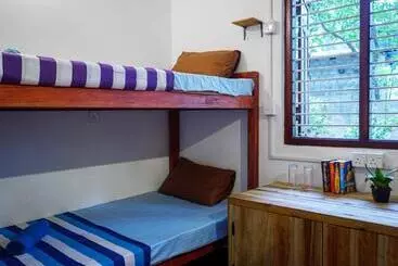 Pensione The White House