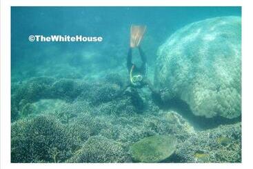 Pensionat The White House